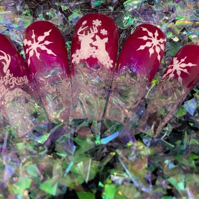 316406992 113548654906995 2446644052084553387 N